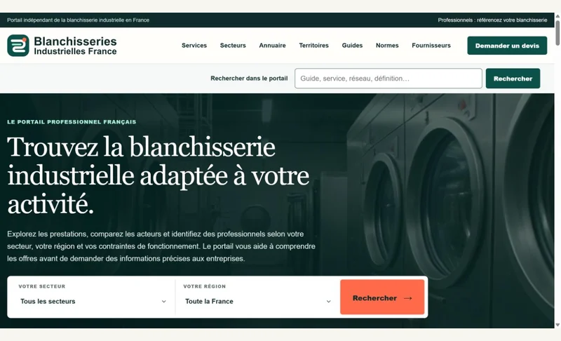 Capture du site Blanchisseries Industrielles France
